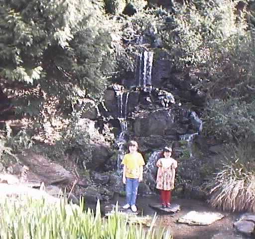 Duck pond fountain.