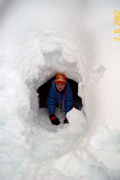 Jilly on snowshoes